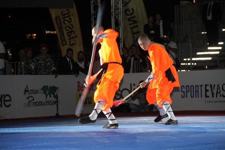 Martial Arts Festival